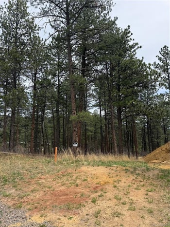 636 Copper Fox Pl, Larkspur, CO 80118