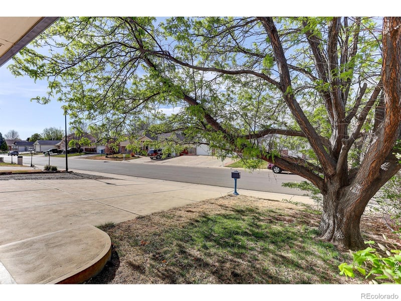 145 Falcon Cir, Mead, CO 80542