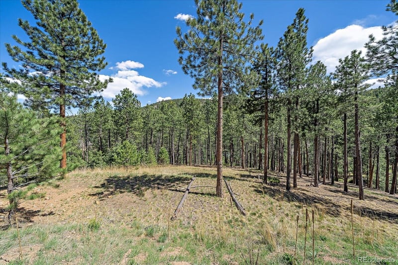 32160 Aspen Meadow Dr, Evergreen, CO 80439