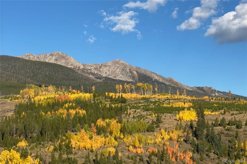384 Blue Ridge Rd, Breckenridge, CO 80424