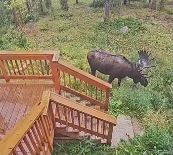 384 Blue Ridge Rd, Breckenridge, CO 80424