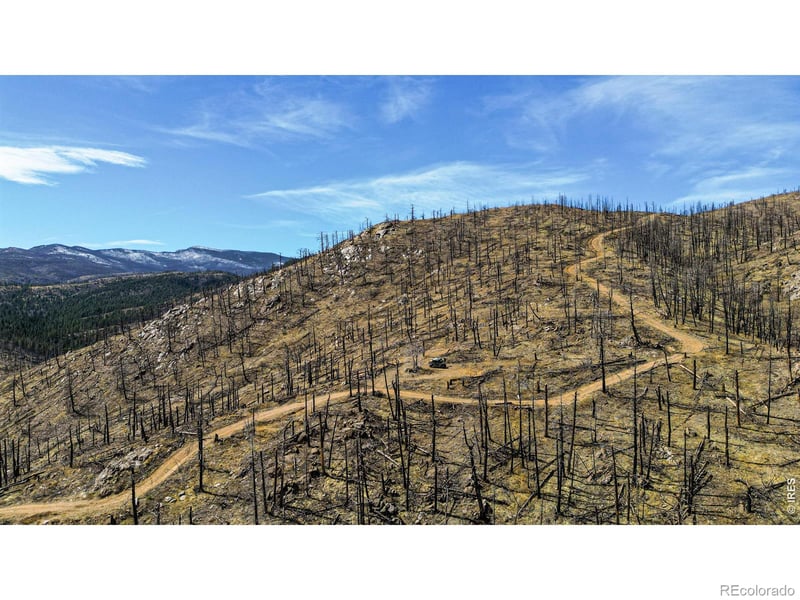 3600 Moondance Way, Bellvue, CO 80512