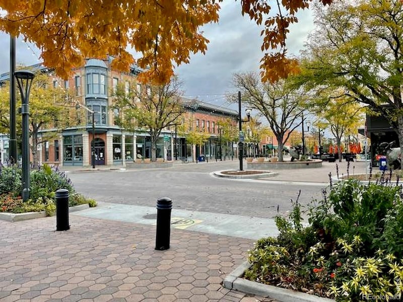 221 Mountain Ave #411, Fort Collins, CO 80524