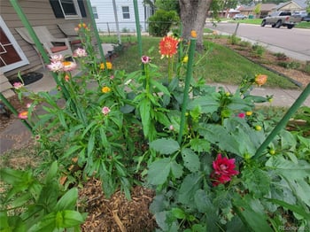 6675 45th Ave, Wheat Ridge, CO 80033