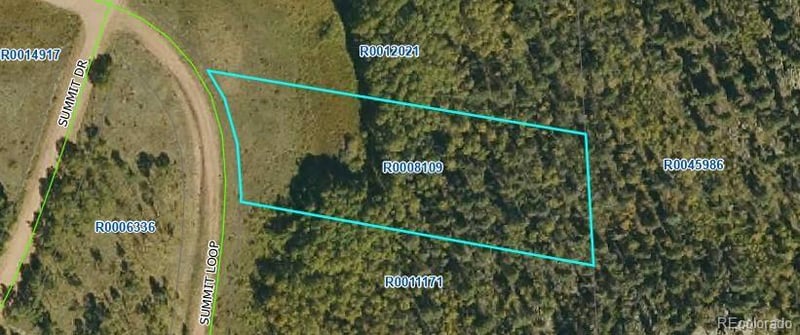 266 Summit Loop, Florissant, CO 80816