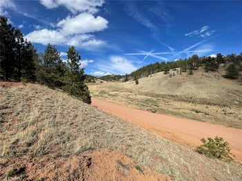 323 Gold King Dr, Cripple Creek, CO 80813