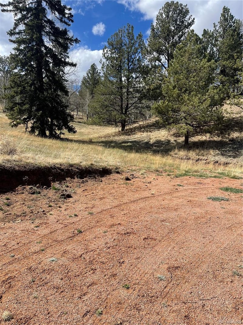 323 Gold King Dr Lot 43, Cripple Creek, CO 80813