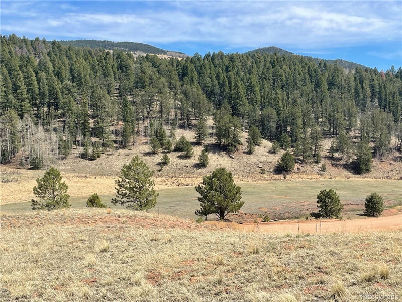 323 Gold King Dr Lot 43, Cripple Creek, CO 80813