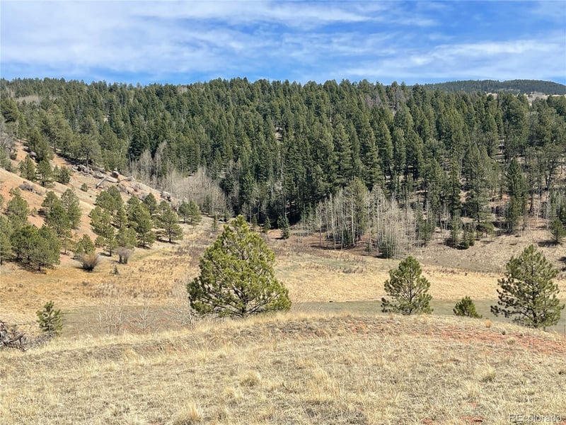 323 Gold King Dr Lot 43, Cripple Creek, CO 80813