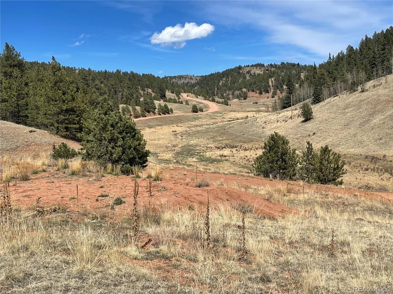 323 Gold King Dr Lot 43, Cripple Creek, CO 80813