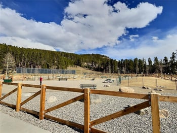 214 S Harris St #209, Breckenridge, CO 80424