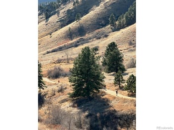 2463 Broadway St #2, Boulder, CO 80304