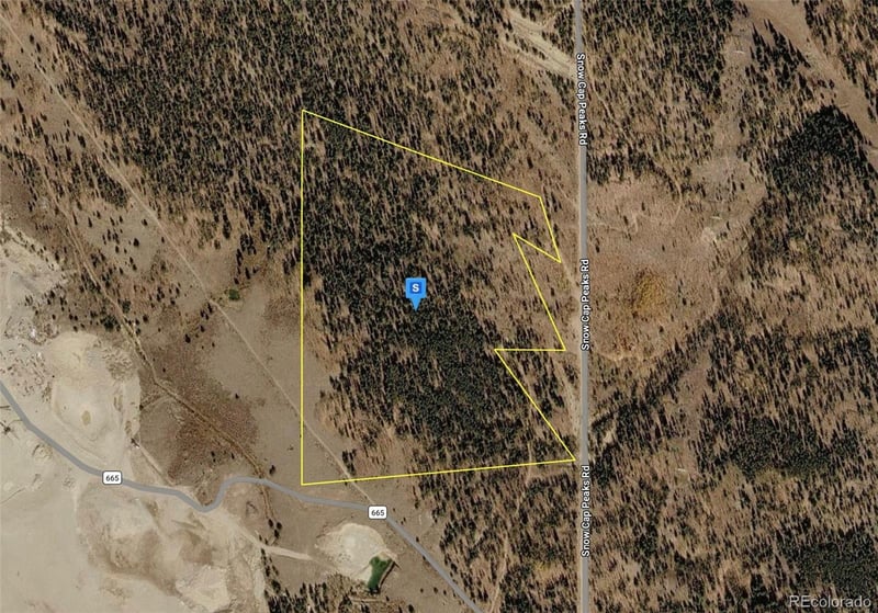 111 Snow Cap Peaks Route, Alma, CO 80420