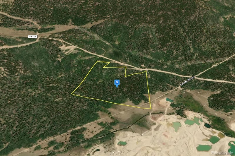 111 Snow Cap Peaks Route, Alma, CO 80420