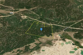 111 Snow Cap Peaks Route, Alma, CO 80420