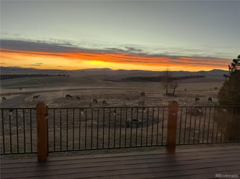 1007 Hereford Dr, Hartsel, CO 80449