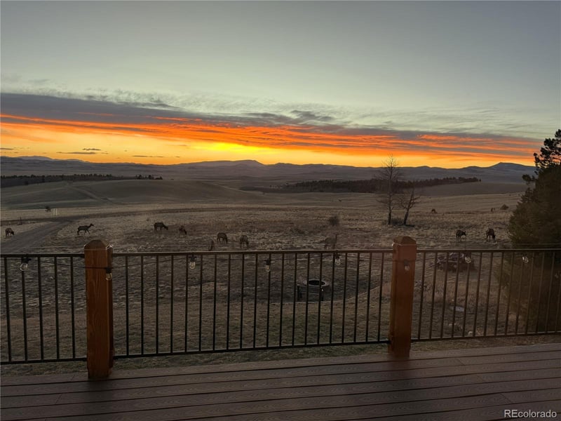 1007 Hereford Dr, Hartsel, CO 80449