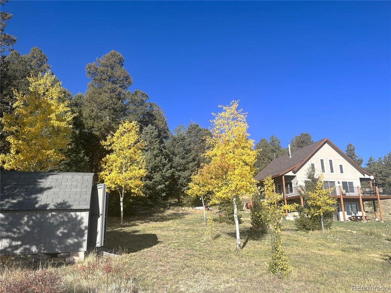 1007 Hereford Dr, Hartsel, CO 80449