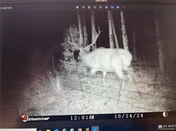 1007 Hereford Dr, Hartsel, CO 80449