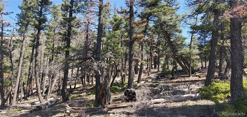 Lot 5802 Tagge Rd, San Luis, CO 81152