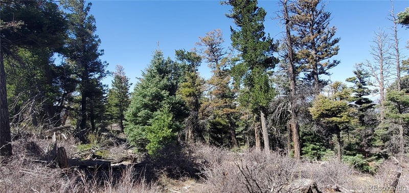 Lot 5802 Tagge Rd, San Luis, CO 81152
