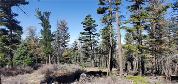 Lot 5802 Tagge Rd, San Luis, CO 81152