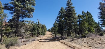 Lot 5802 Tagge Rd, San Luis, CO 81152