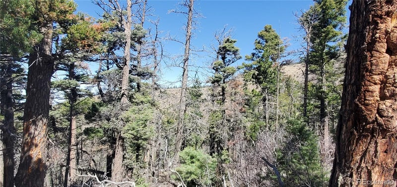 Lot 5802 Tagge Rd, San Luis, CO 81152