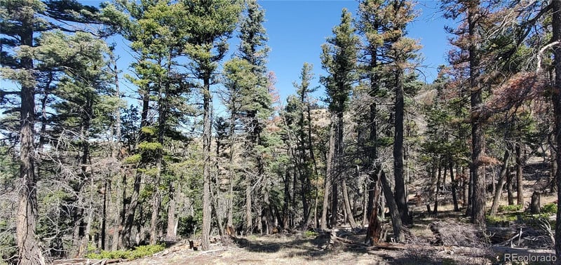 Lot 5802 Tagge Rd, San Luis, CO 81152