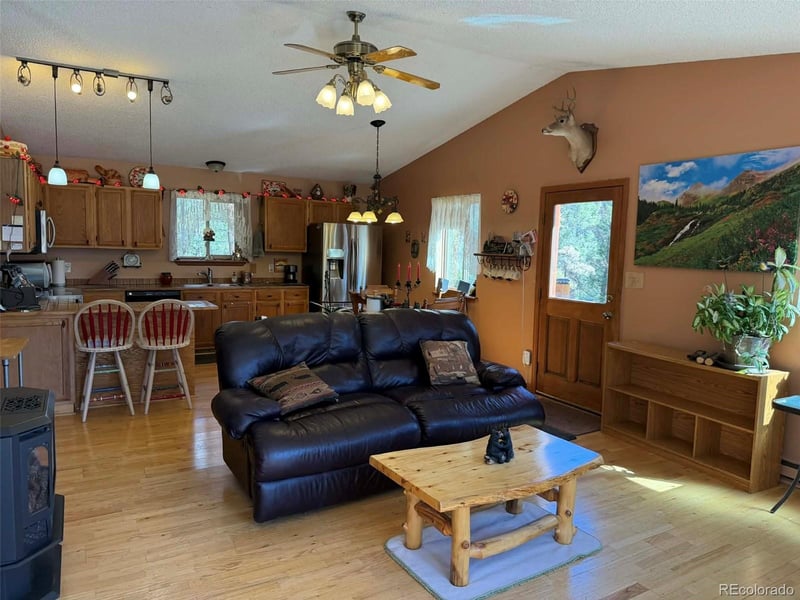 33623 Smith Rd, Pine, CO 80470