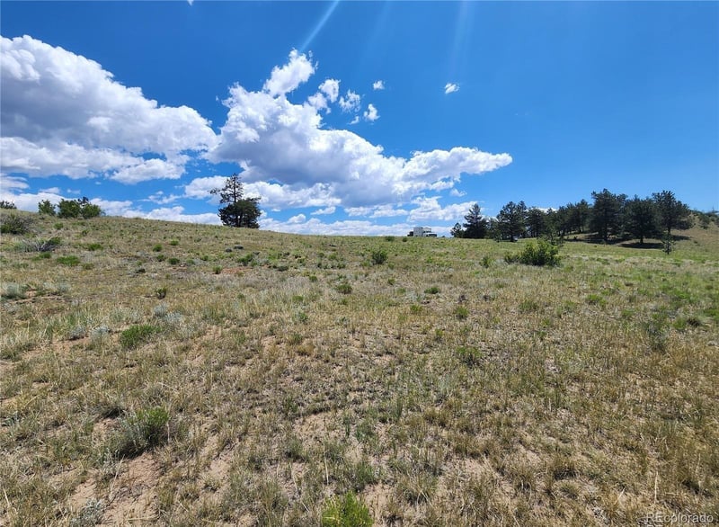 Lot 11 Willow St, Hartsel, CO 80449