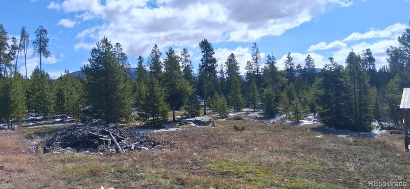 164 County Road 443, Grand Lake, CO 80447