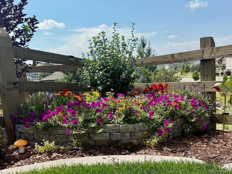 389 Bronco Ct, Berthoud, CO 80513