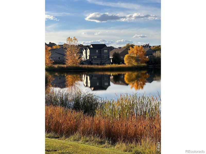 1971 Shadow Lake Ct, Windsor, CO 80550