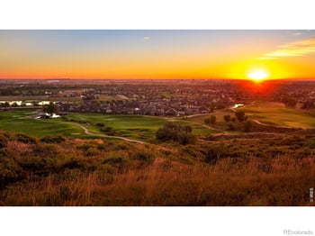 1971 Shadow Lake Ct, Windsor, CO 80550