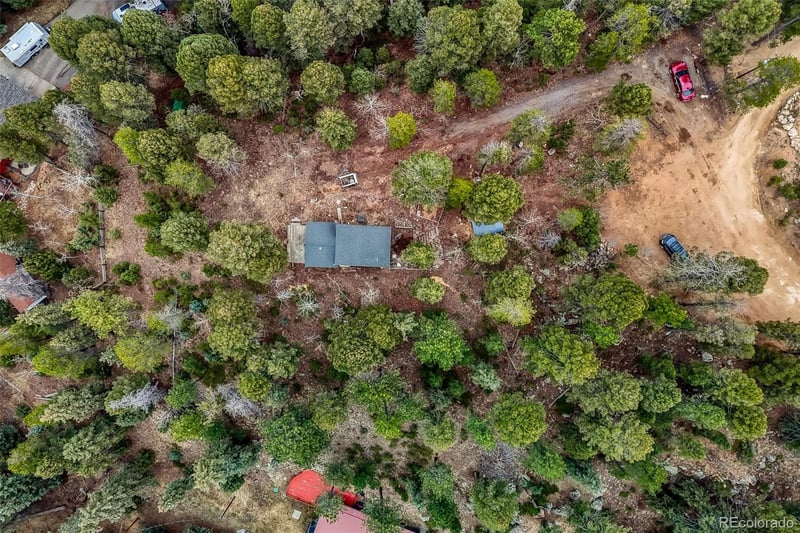 12096 Elk Trail Rd, Conifer, CO 80433