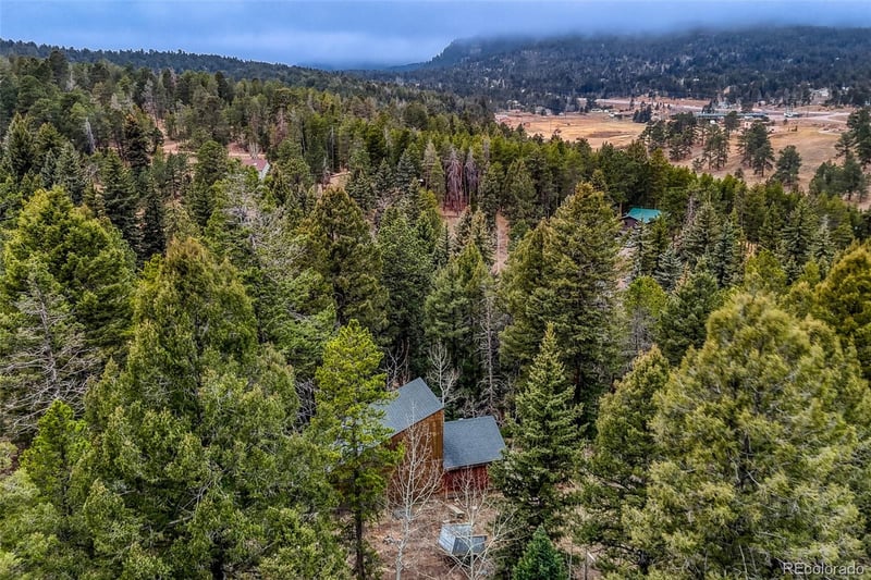 12096 Elk Trail Rd, Conifer, CO 80433