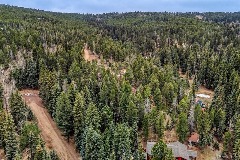 12096 Elk Trail Rd, Conifer, CO 80433