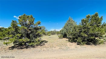 976 Kenosha Rd, South Fork, CO 81154