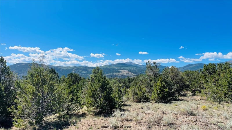 976 Kenosha Rd, South Fork, CO 81154