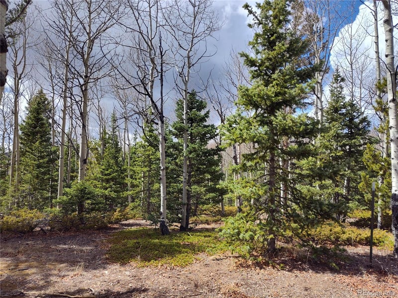 12201 State Highway 67, Cripple Creek, CO 80813