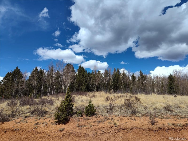 12201 State Highway 67, Divide, CO 80813