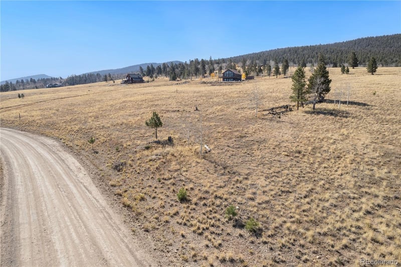 1505 Pitchfork Rd, Hartsel, CO 80449