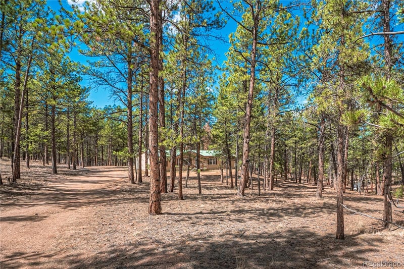 2675 Pikes Peak Dr, Florissant, CO 80816