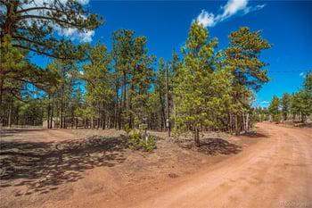 2675 Pikes Peak Dr, Florissant, CO 80816
