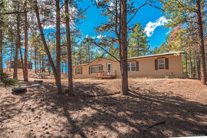 2675 Pikes Peak Dr, Florissant, CO 80816