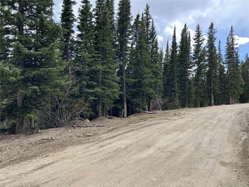 Texas Cir, Idaho Springs, CO 80452