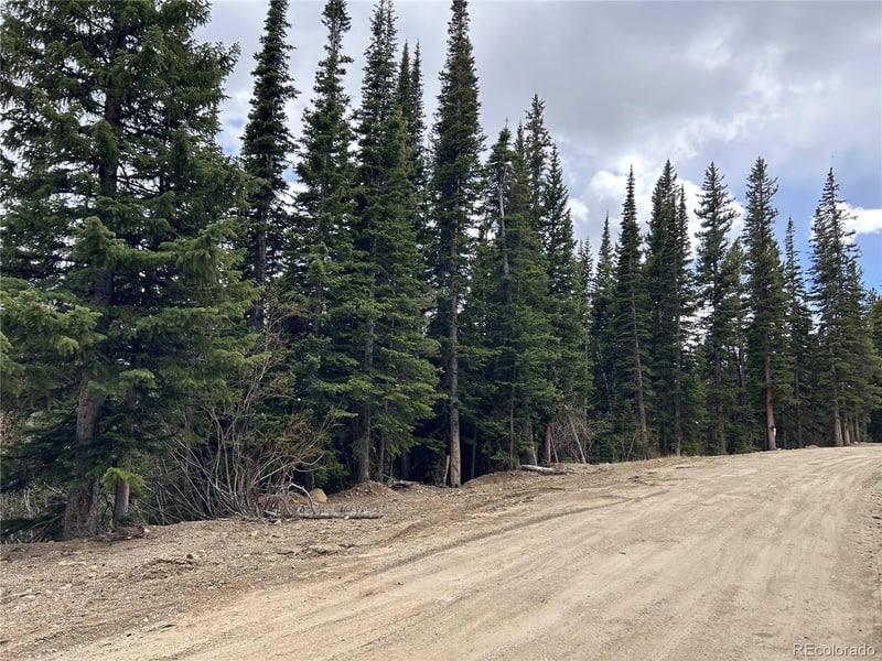 Texas Cir Lot 772, Idaho Springs, CO 80452
