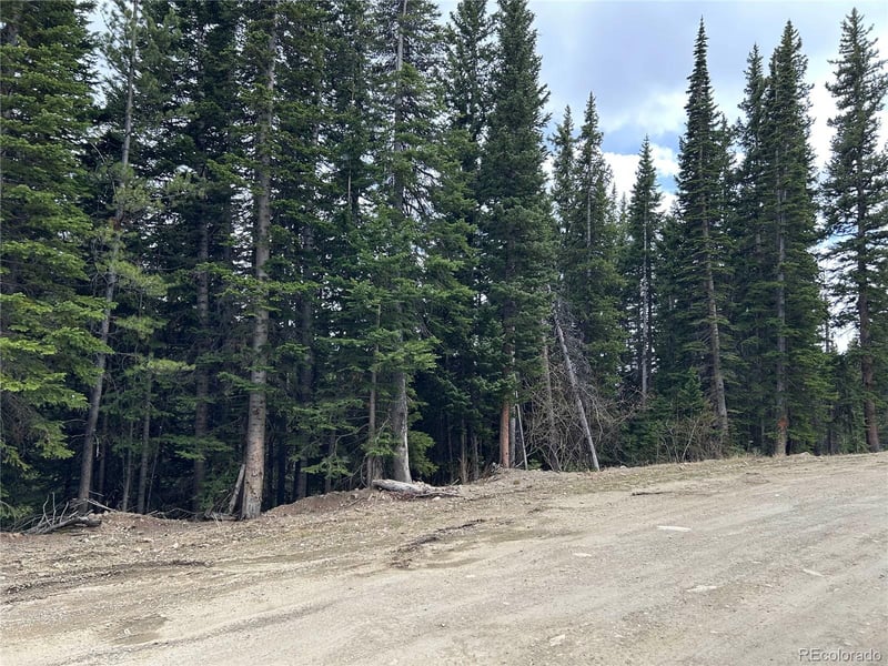 Texas Cir Lot 772, Idaho Springs, CO 80452