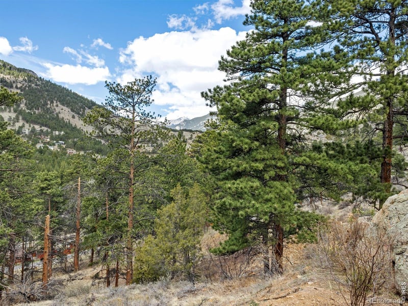 825 Castle Mountain Rd, Estes Park, CO 80517